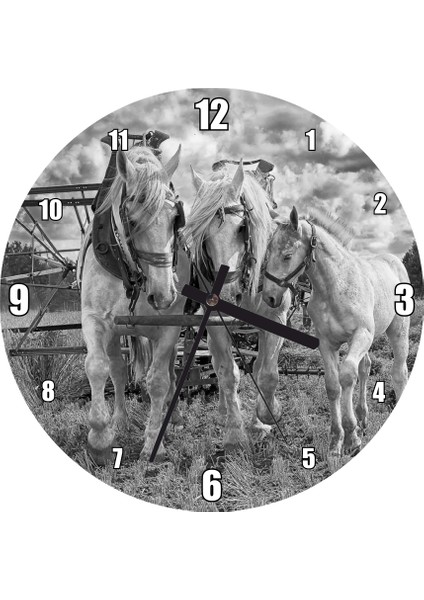 Cakatablo Hasat Yapan Iki At ve Yanlarındaki Tay Monokrom Duvar Saati (Çap 50X50 cm )