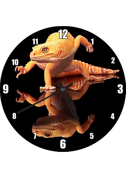 Cakatablo Geko Kertenkelesi Cam Zeminde Karanlık Arkaplan Duvar Saati (Çap 30X30 Cm)