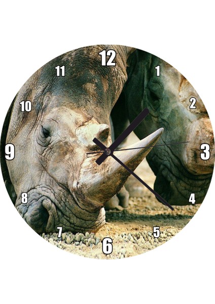 Cakatablo Efsanevi Gergedanlar Yakın Çekim Duvar Saati (Çap 50X50 cm )