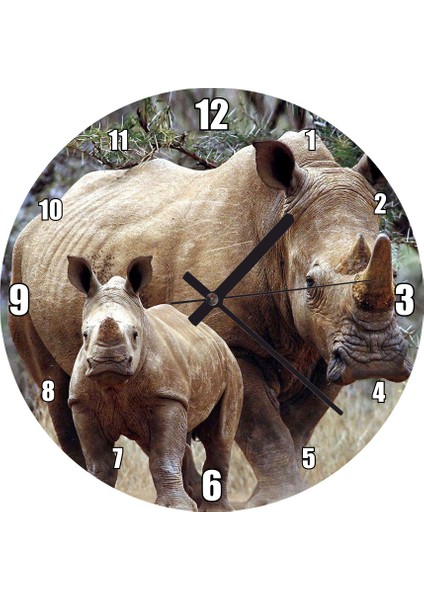 Cakatablo Dev Anne Gergedan ve Sevimli Yavrusu Duvar Saati (Çap 50X50 cm )