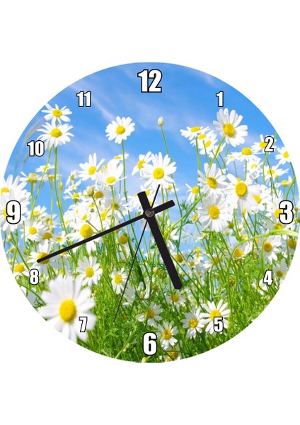 Cakatablo Beyaz Papatyalar ve Mavi Gökyüzü Duvar Saati (Çap 30X30 Cm)
