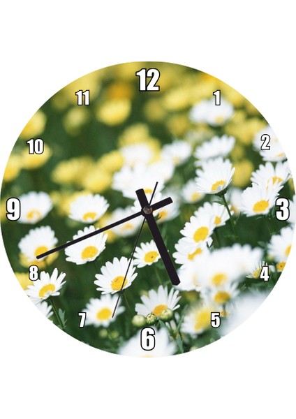 Cakatablo Beyaz Papatyalar ve Arkada Flu Sarı Papatyalar Duvar Saati (Çap 50X50 cm )
