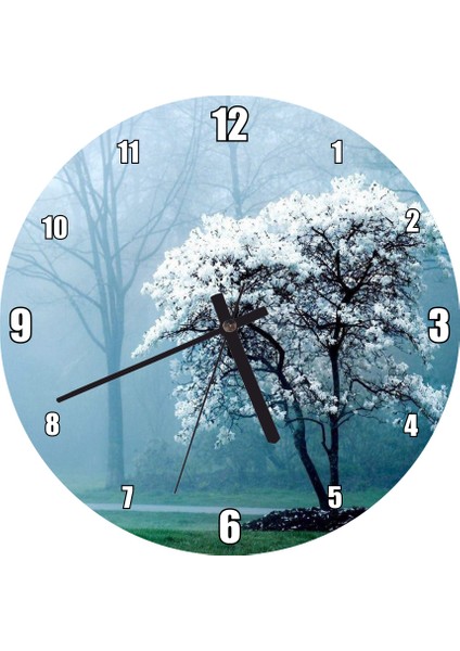 Cakatablo Beyaz Çiçekli Ağaç ve Arkada Sisli Orman Duvar Saati (Çap 50X50 cm )