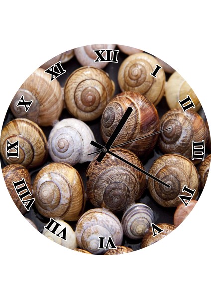 Cakatablo Salyangoz Gurubu Görseli Duvar Saati (Çap 50X50 cm )