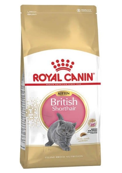British Shorthair Kitten Yavru Kedi Maması 2 kg