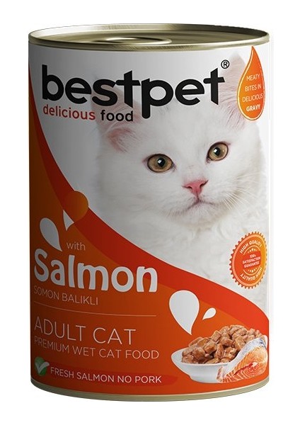 Somonlu Jöleli Yetişkin Kedi Konservesi 400 gr fiyatları