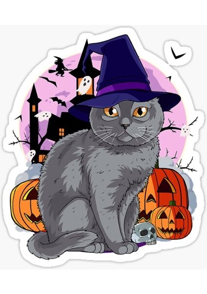 Chartreux Kedi Araba Oto Sticker Etiket Renkli V2