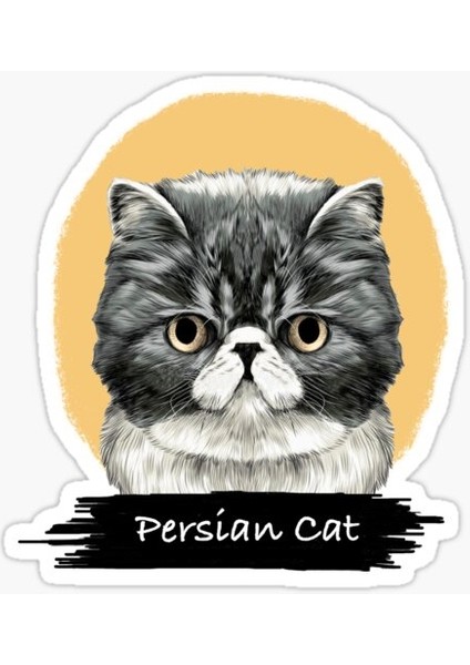 Iran Kedisi Araba Oto Sticker Etiket Renkli V8