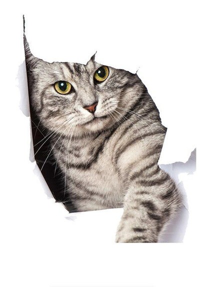 Kırık Cam Efekti Kedi Araba Oto Sticker Etiket Z2