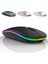 Rgb Kablosuz Mouse 1