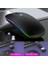 Rgb Kablosuz Mouse 2