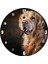 Cakatablo Güzel Golden Retriever Köpek Resimleri Duvar Saati (Çap 50X50 cm ) 1