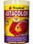 Astacolor Flakes Kırmızı Discus Balıkları Için Astaksantinli Pul YEM 100 ml 1