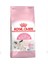 Royal Canin Mother & Babycat Anne ve Yavru Kedi Maması 4 kg 1