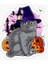 Chartreux Kedi Araba Oto Sticker Etiket Renkli V2 1