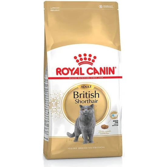 Royal Canin British Shorthair Adult Yetişkin Kedi Maması 10 kg