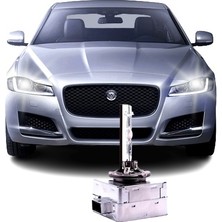 Photon Fardoktoru Jaguar Xf (2015-2019) D3S Xenon Oto Ampul  4300K