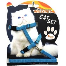 WİLLYPET Kedi Bel Tasması