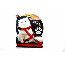 WİLLYPET Kedi Bel Tasması