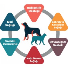 Synbiocure Probiyotik ve Prebiyotik Kedi Takviyesi 30 * 2 gr