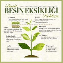Aquarium Plants Akvaryum Akıllı Kapsül Gübre - 10 Adet - 9 Ay Etkili