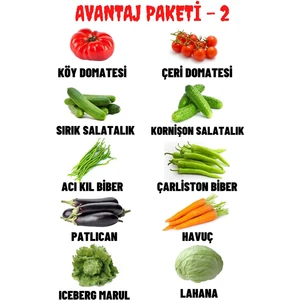 Aktar Dünyası Oplam 10 Çeşit +500 Adet Tohum Köy Domatesi, Çeri Domatesi,Iceberg Marul, Lahana Olmak Üzere 10 Çeşit Tohum.