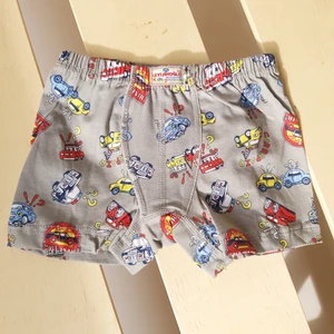 Erkek Çocuk Desenli Boxer 6'lı