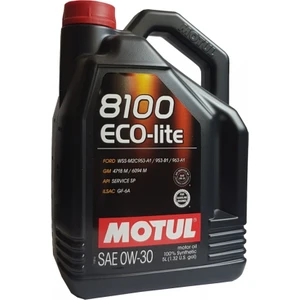 8100 Eco Lite 0W-30 5 Litre Motor Yağı (Üretim Yılı: 2022)