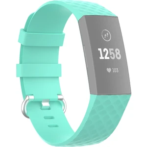18MM Gümüş Renk Toka Tpu Bilek Kayışı Fitbit Charge 4 / Charge 3 / Charge 3 Se Için Watch Band, Boyut: S