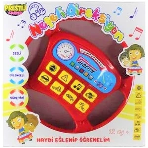 Neşeli Dıreksyon Oyuncak Türkçe Sesli
