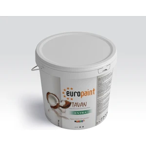1 kg Europaint Tavan Boyası