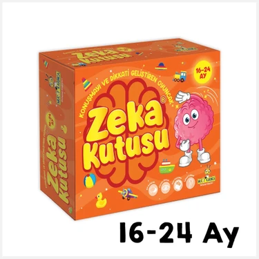 Yükselen Zeka Zeka Kutusu 16-24