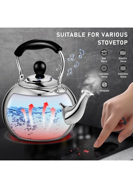 2.5l Paslanmaz Çelik Cilalı Islık Çalan Çaydanlık - Gri (Yurt Dışından)