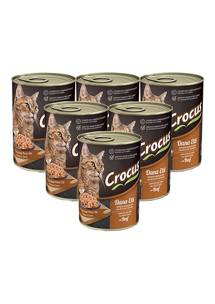 Dana Etli Yetişkin Kedi Yaş Mama 400 gr 6'lı Paket