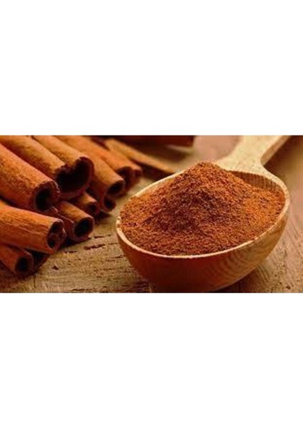 Tarçın Toz 100 gr fiyatları