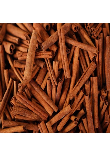 Tarçın Çubuk 100 gr fiyatları