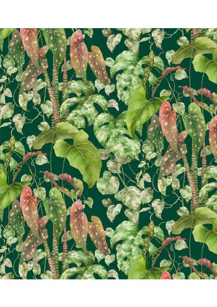 Roco Paper Rulo Ambalaj Kağıdı NO:201D 70X500 cm