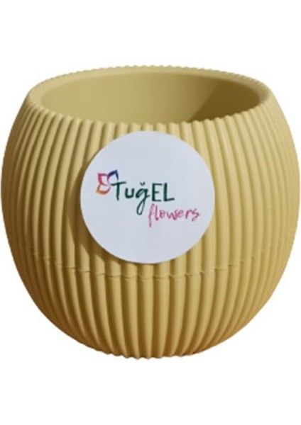 Tuğel Flowers Yuvarlak Plastik Mercan Saksı No:3 Sarı (0.70 Litre)