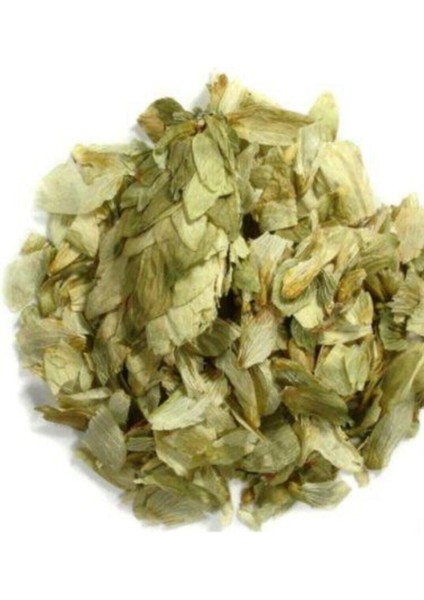 Şerbetçi Otu 50 gr fiyatları