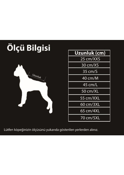 Boyunluklu, Su Geçirmez Turuncu Köpek Kıyafeti