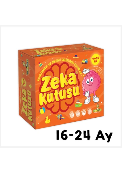 Yükselen Zeka Zeka Kutusu 16-24 Ay