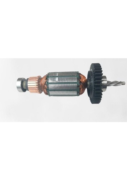 Dwd 024 Endüvi Rotor Kollektör (N497344)