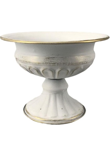 Metal Bitki Kurutulmuş Çiçek Ekici Kurutulmuş Çiçek Ev Ofis Dekor Beyaz Altın (Yurt Dışından)