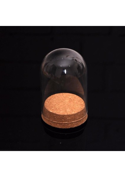 3x Clear Cam Dome Hemisphere Cabochon Mantar Masa Dekor ile Craft Vitrin 3 Adet (Yurt Dışından)