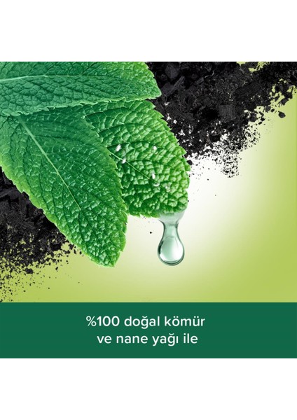 Body & Mind Kömür ve Nane Yağı Banyo ve Duş Jeli 500 ml x 2 Adet + Duş Lifi