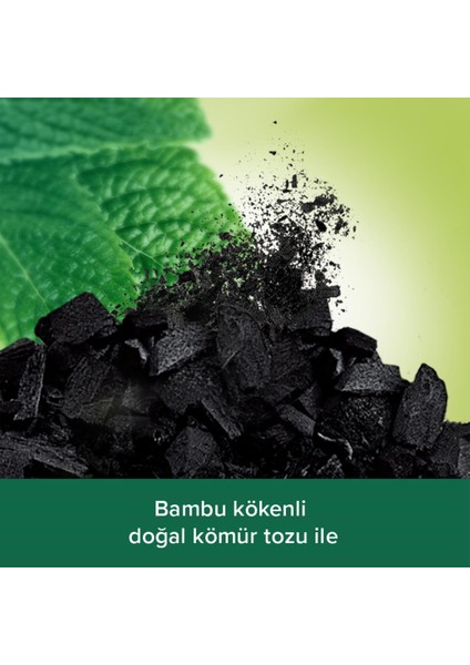 Body & Mind Kömür ve Nane Yağı Banyo ve Duş Jeli 500 ml x 2 Adet + Duş Lifi