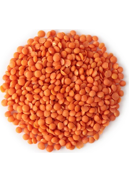 Yerli Kırmızı Mercimek fiyatları