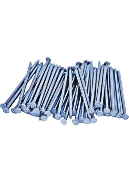 Galvaniz Çelik Çivi 5X100 ( 50 Adet )