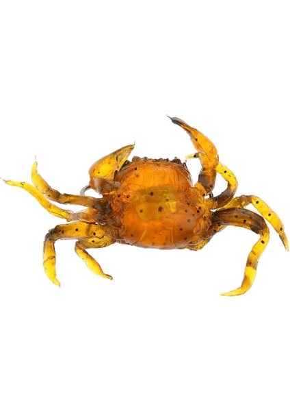 2 Parça Yapay Yengeç Balıkçılık Lures Yumuşak Balıkçılık Yemleri 3D Simülasyon Yem(Yurt Dışından) fiyatları