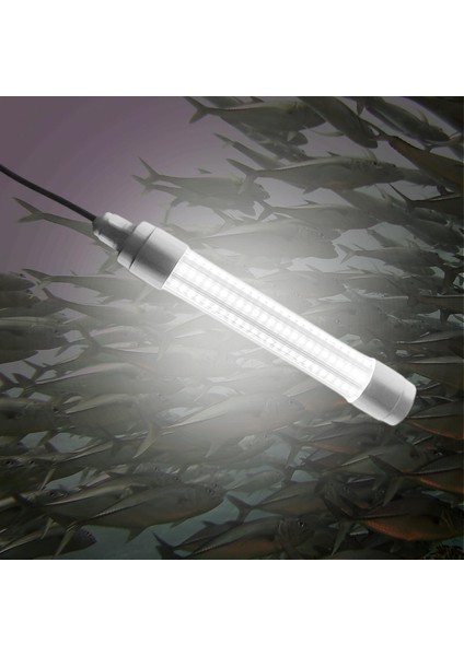 12 V Balıkçılık Işık Lampswith 5 M Güç Kablosu Dalgıç Squid Atrilding Açık Beyaz Işık indirimleri
